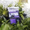 Sambucol Cold and Flu Relief Tablets - Homeopathic Cold Medicine, Nasal & Sinus Congestion Relief, Use for Runny Nose, Sore Throat, Coughing, Fever, Cold Remedy for Adults - Black Elderberry, 30 Count
