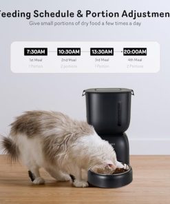 Automatic Cat Feeder and Water Dispenser FW1, Wire or Battery Cat Food Dispenser Timer Pet Feeder - Locking Lid, Desiccant Bag, Programmable Portion Control, 4 Daily Meals, 10s Voice Recorder