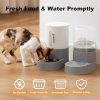 Gravity Cat Feeder and Water Dispenser - Automatic Cat Food and Water Dispenser with Stainless Steel Bowl, 2 Pack Pet Self Feeding for Small Dog Puppy Kitten, 2.4L Dry Food and 2.6L Water